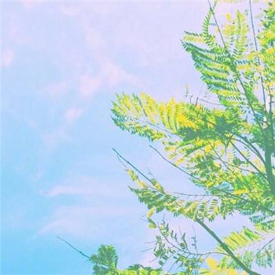 幻仙手游官方版下载
