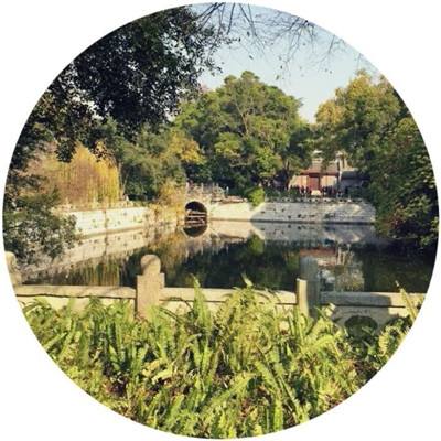 我的英雄学院入学季oppo版下载